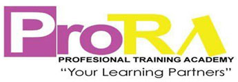 Professional Training Academy